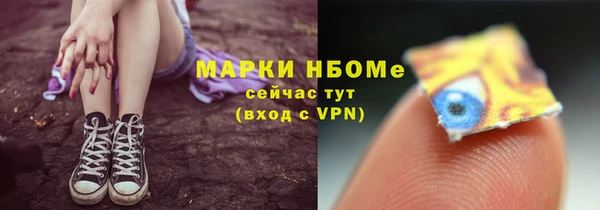 молекула духа Белая Холуница