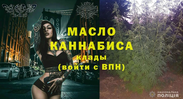 сатива Ростов