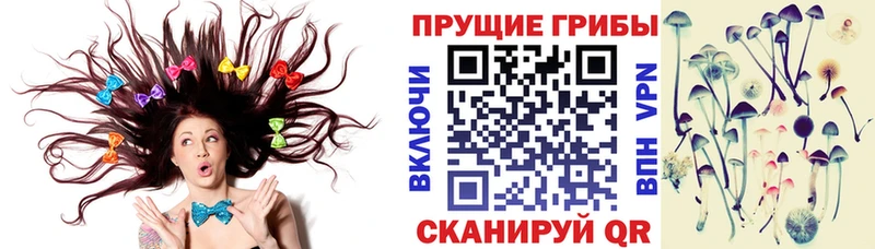 Псилоцибиновые грибы ЛСД  Берёзовский 
